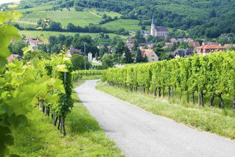 Appartement Avec Terrasse Entre Vignes, Balades, Alsace Guebwiller Exterior foto